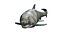 Dunkleosteus rigged