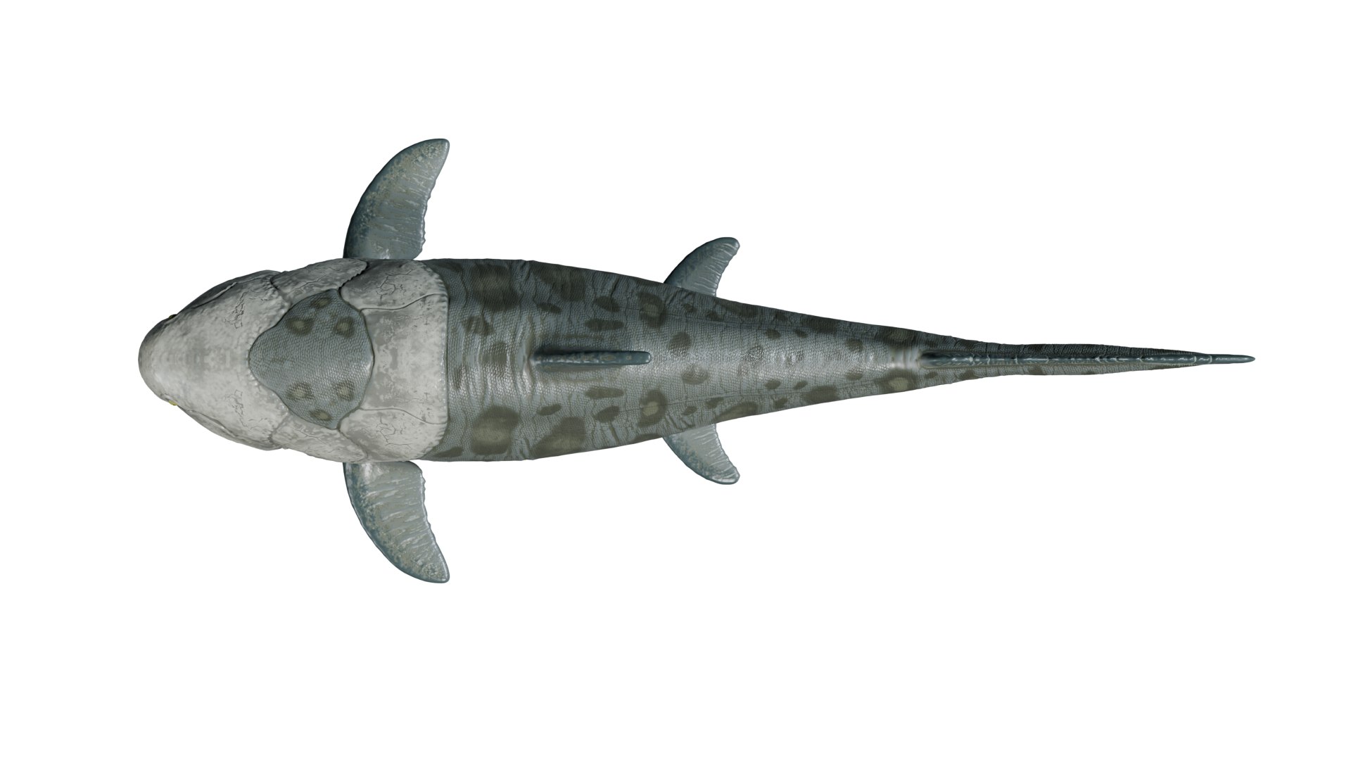Dunkleosteus rigged 3D model https://p.turbosquid.com/ts-thumb/tz/VkE6Ti/Kk/3/png/1757561592/1920x1080/fit_q87/1dd67260c0b3e04d8c00f95f6c7303af2ee8a4c7/3.jpg