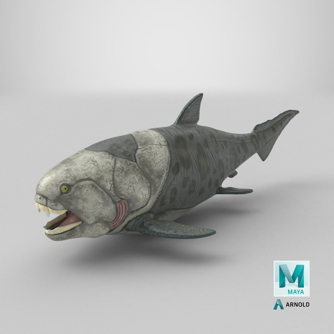 Dunkleosteus rigged 3D model https://p.turbosquid.com/ts-thumb/tz/VkE6Ti/NW/stemcell_maya_arnold_render/png/1757590424/1920x1080/fit_q87/4887e101b18d1efcec1fe7e036e4fdbf060aac98/stemcell_maya_arnold_render.jpg