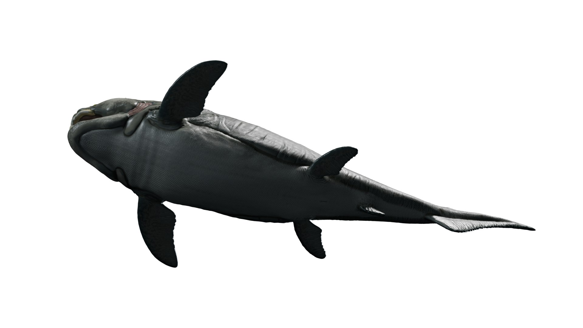 Dunkleosteus rigged 3D model https://p.turbosquid.com/ts-thumb/tz/VkE6Ti/qc/4/png/1757561592/1920x1080/fit_q87/de7645d44005065a2d2fea83a94e58daa3e9e281/4.jpg