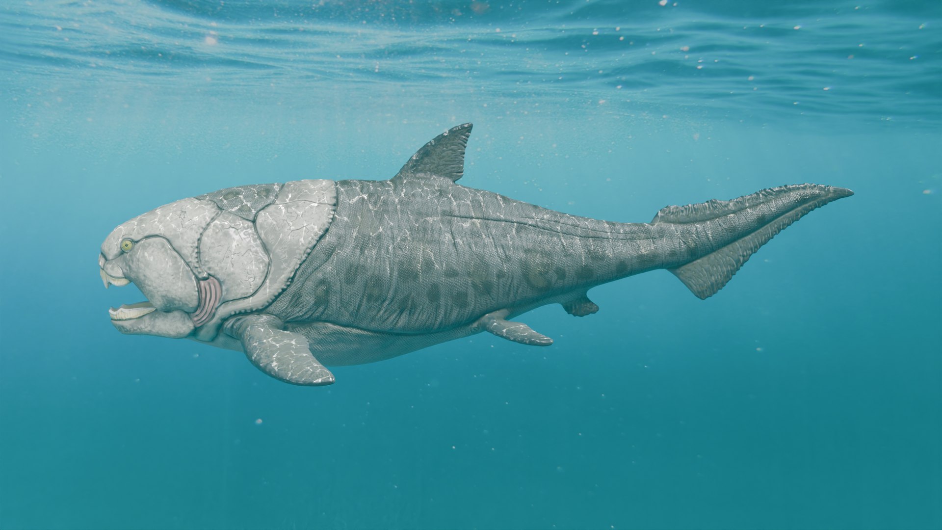 Dunkleosteus rigged 3D model https://p.turbosquid.com/ts-thumb/tz/VkE6Ti/yJ/1/png/1757561587/1920x1080/fit_q87/f92c07801936f606372c60569f768d1bcd8d6d83/1.jpg