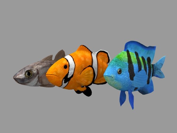 Animations fish 3D model - TurboSquid 1391660