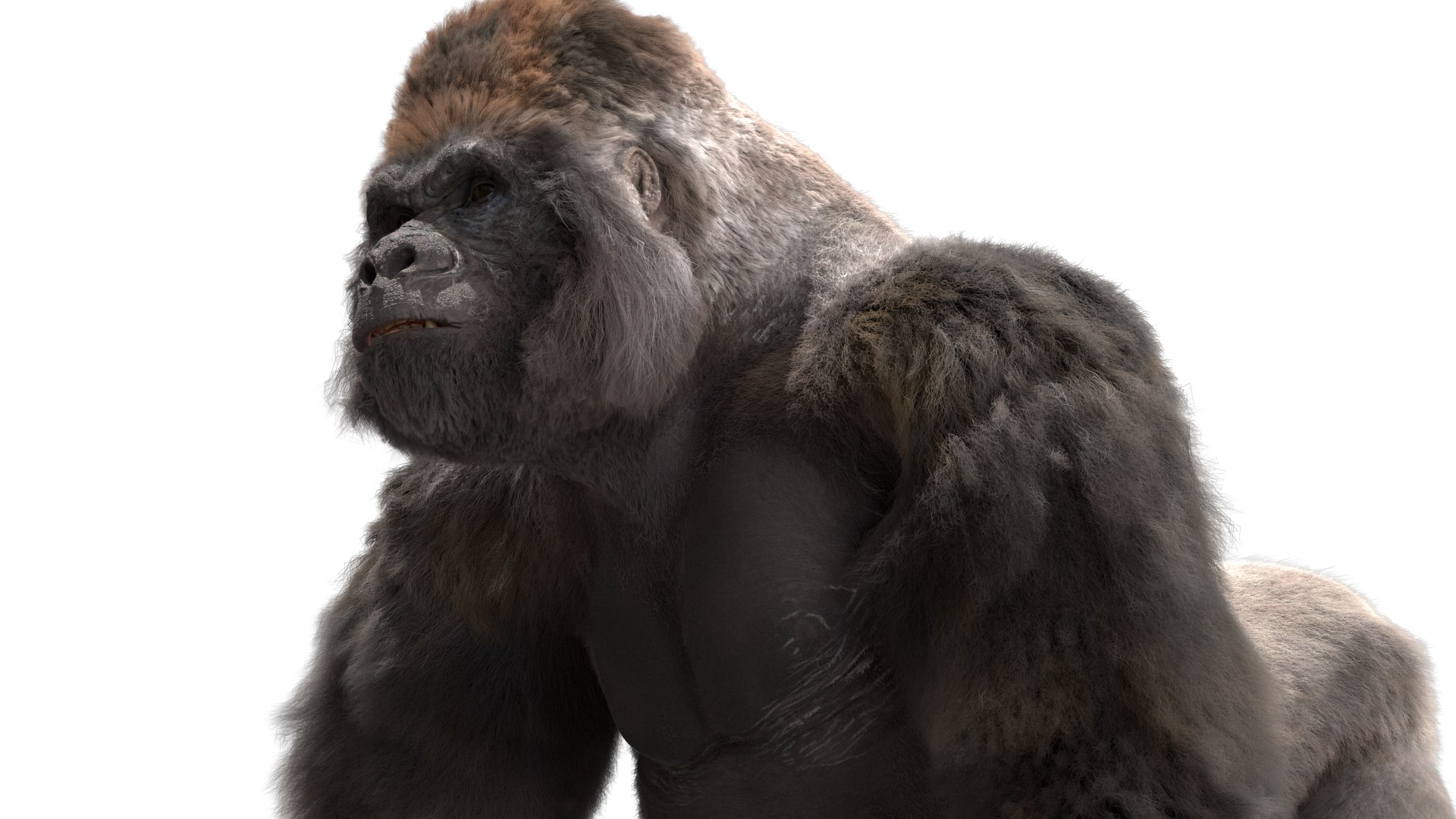 3D Lowland Gorilla Rigged - TurboSquid 1490969