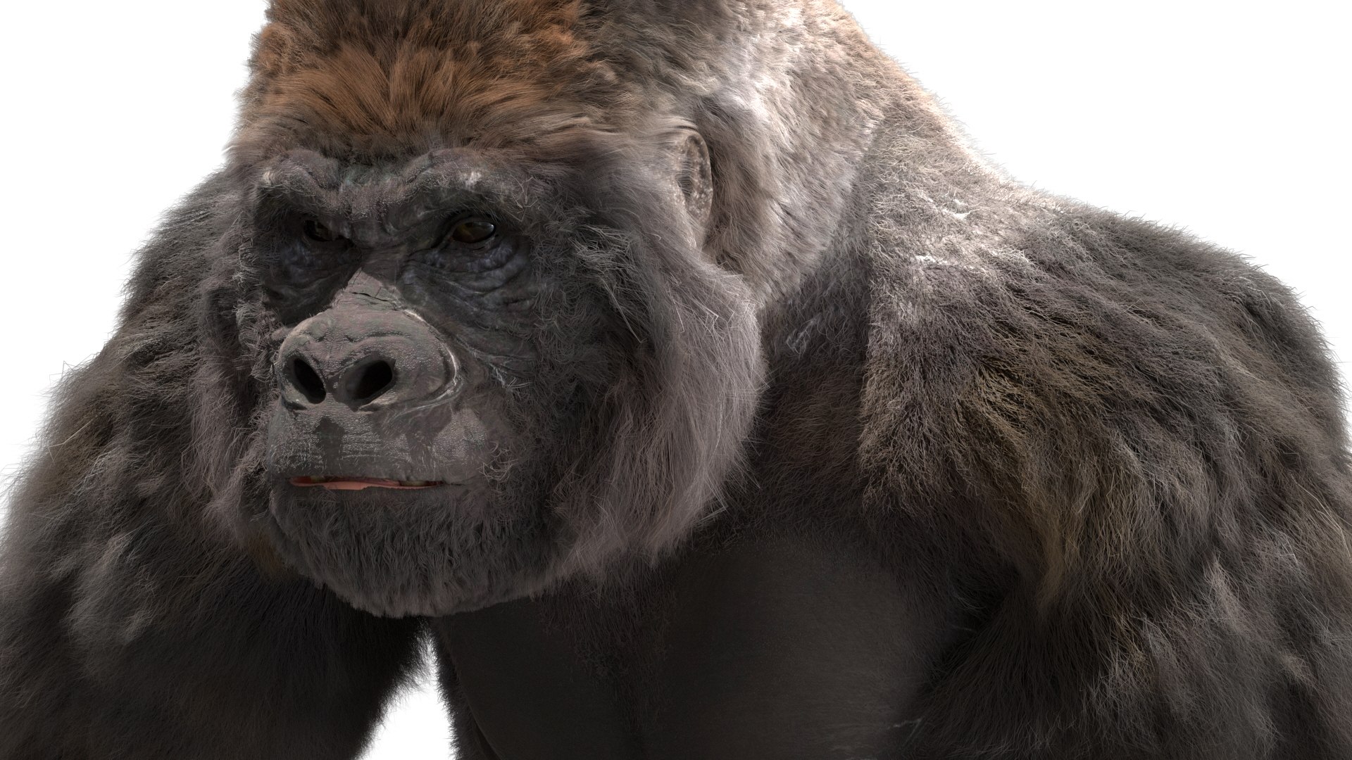 3D Lowland Gorilla Rigged - TurboSquid 1490969