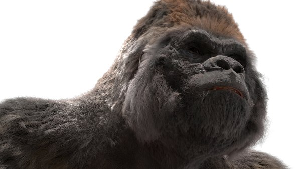 3D lowland gorilla rigged - TurboSquid 1490969