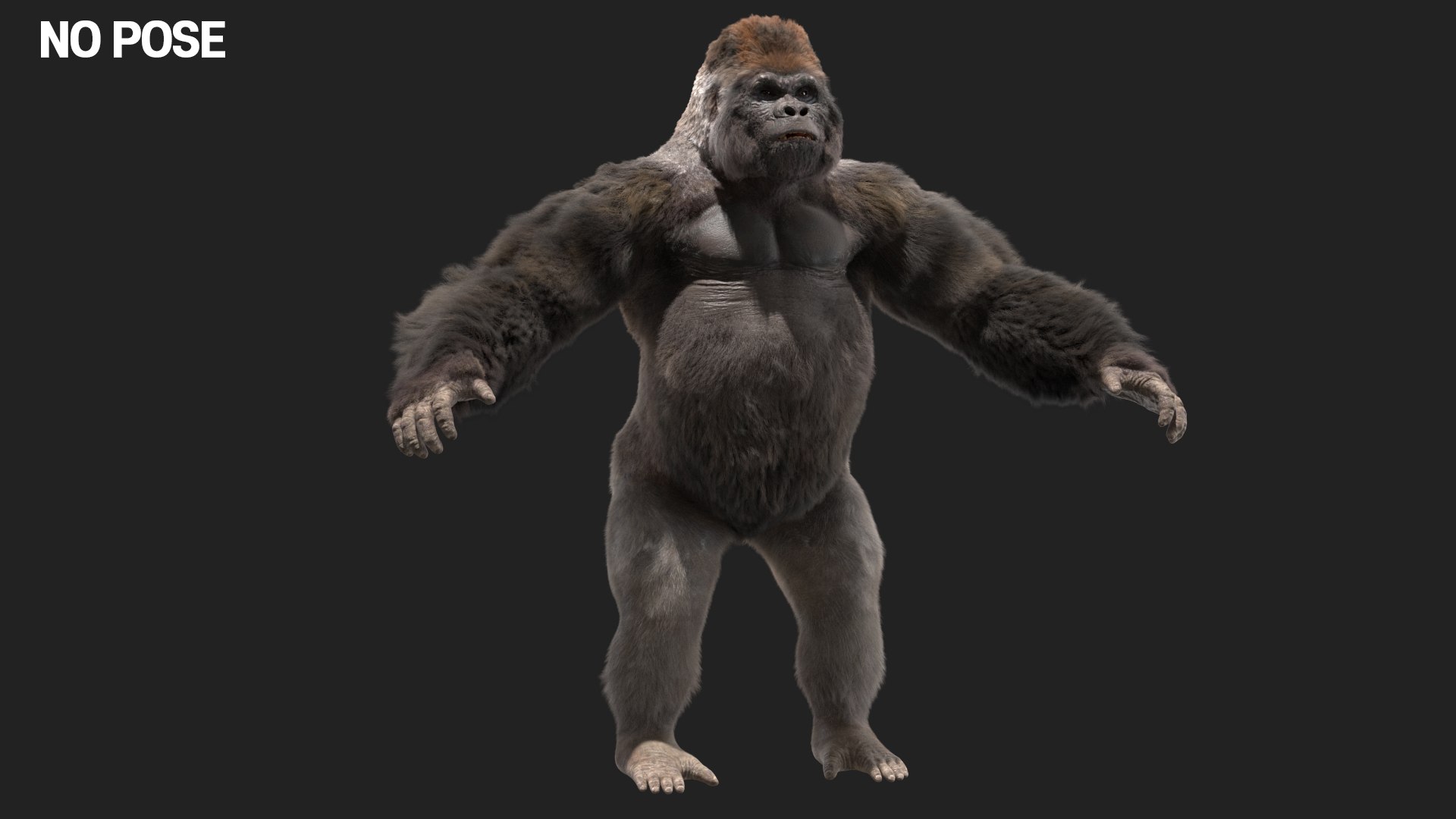 3D Lowland Gorilla Rigged - TurboSquid 1490969