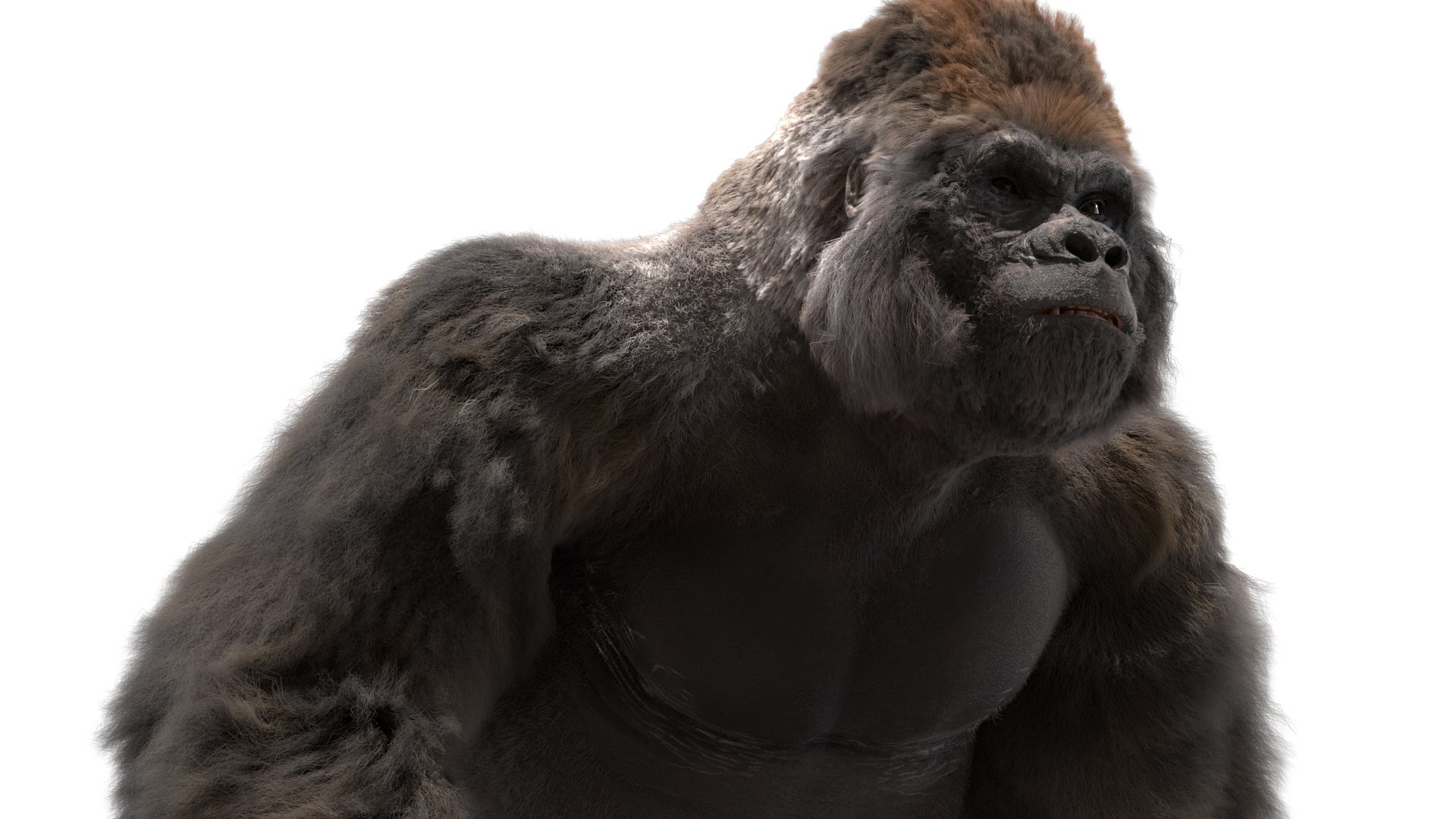 3D Lowland Gorilla Rigged - TurboSquid 1490969