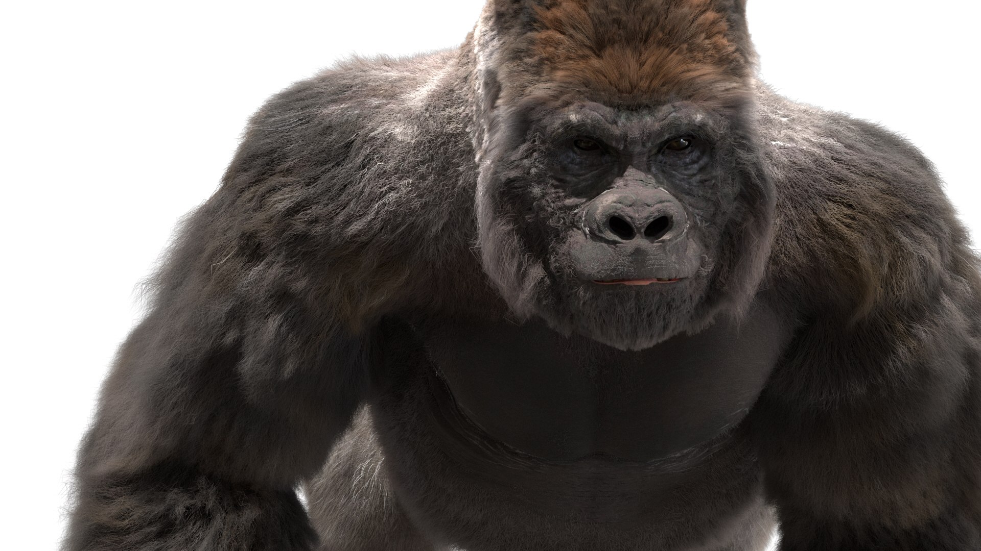 3D Lowland Gorilla Rigged - TurboSquid 1490969