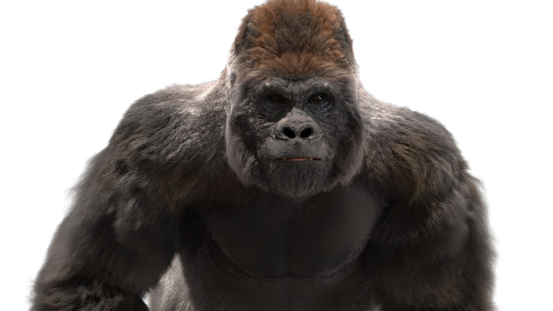 3D lowland gorilla rigged - TurboSquid 1490969