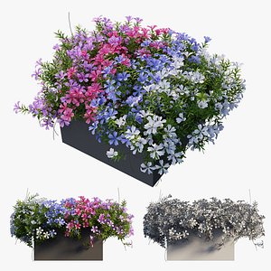 Plant Flower set 03