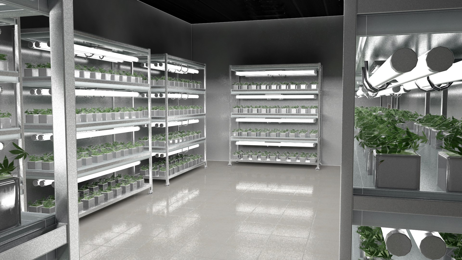 cannabis production facility 3D https://p.turbosquid.com/ts-thumb/tz/s9NXBr/GEoy0p5j/propagationroom2/jpg/1547423298/1920x1080/fit_q87/72a6a326dfd2fd50a6a3edb97307000a1b0b28ed/propagationroom2.jpg