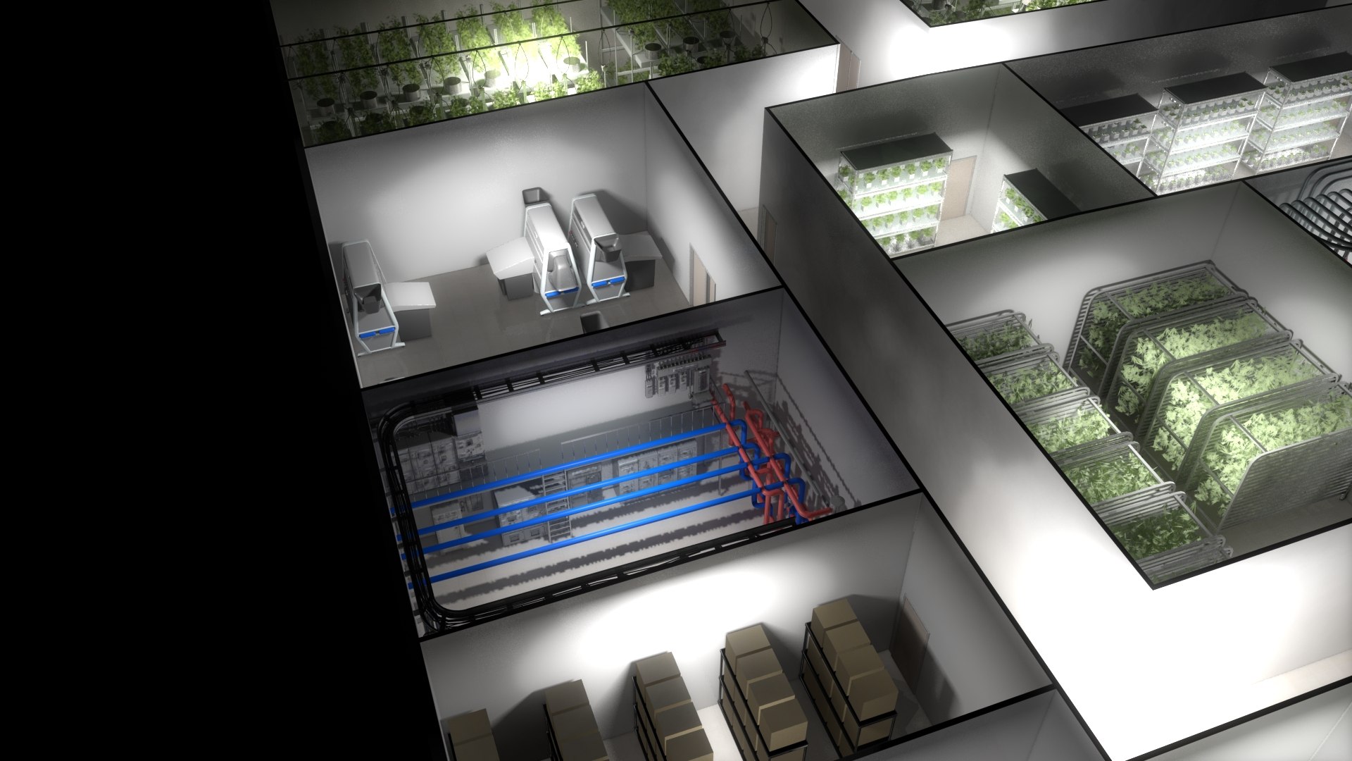 cannabis production facility 3D https://p.turbosquid.com/ts-thumb/tz/s9NXBr/TMwI3eJp/room1418/jpg/1547423425/1920x1080/fit_q87/1491ba7ec8021abe287ba4facce471cc16d671a0/room1418.jpg