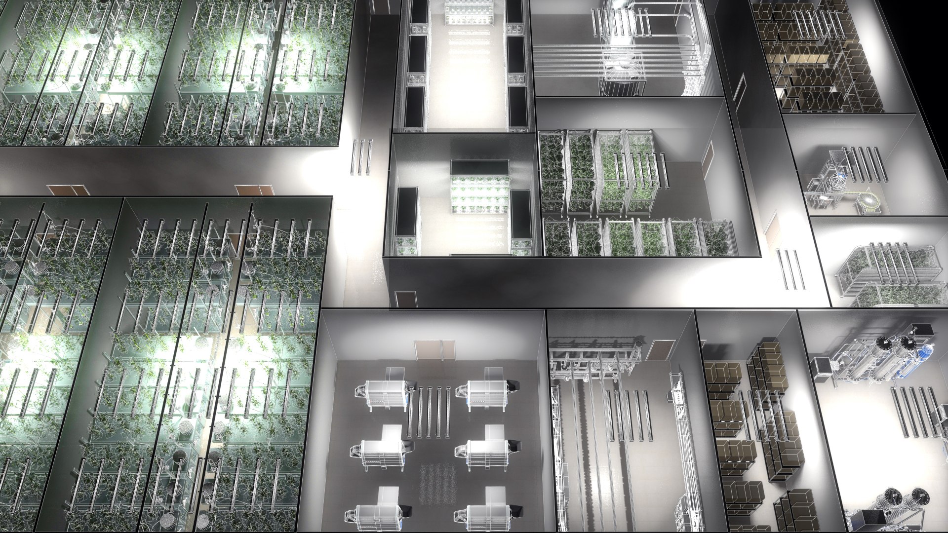 cannabis production facility 3D https://p.turbosquid.com/ts-thumb/tz/s9NXBr/Tpk6dYq2/cannabisproduction03/jpg/1547423076/1920x1080/fit_q87/d0a7ca1bb081733d4e46197d8feae1bb7abb966f/cannabisproduction03.jpg