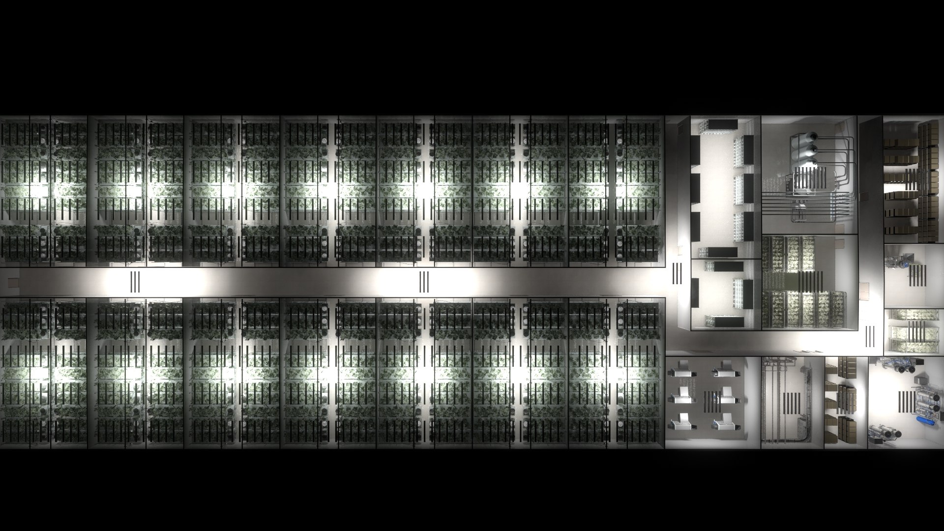 cannabis production facility 3D https://p.turbosquid.com/ts-thumb/tz/s9NXBr/f23RHlk0/cannabisproduction04/jpg/1547423110/1920x1080/fit_q87/27f27a5a258a495c9870f2178b7a3b5d15509210/cannabisproduction04.jpg