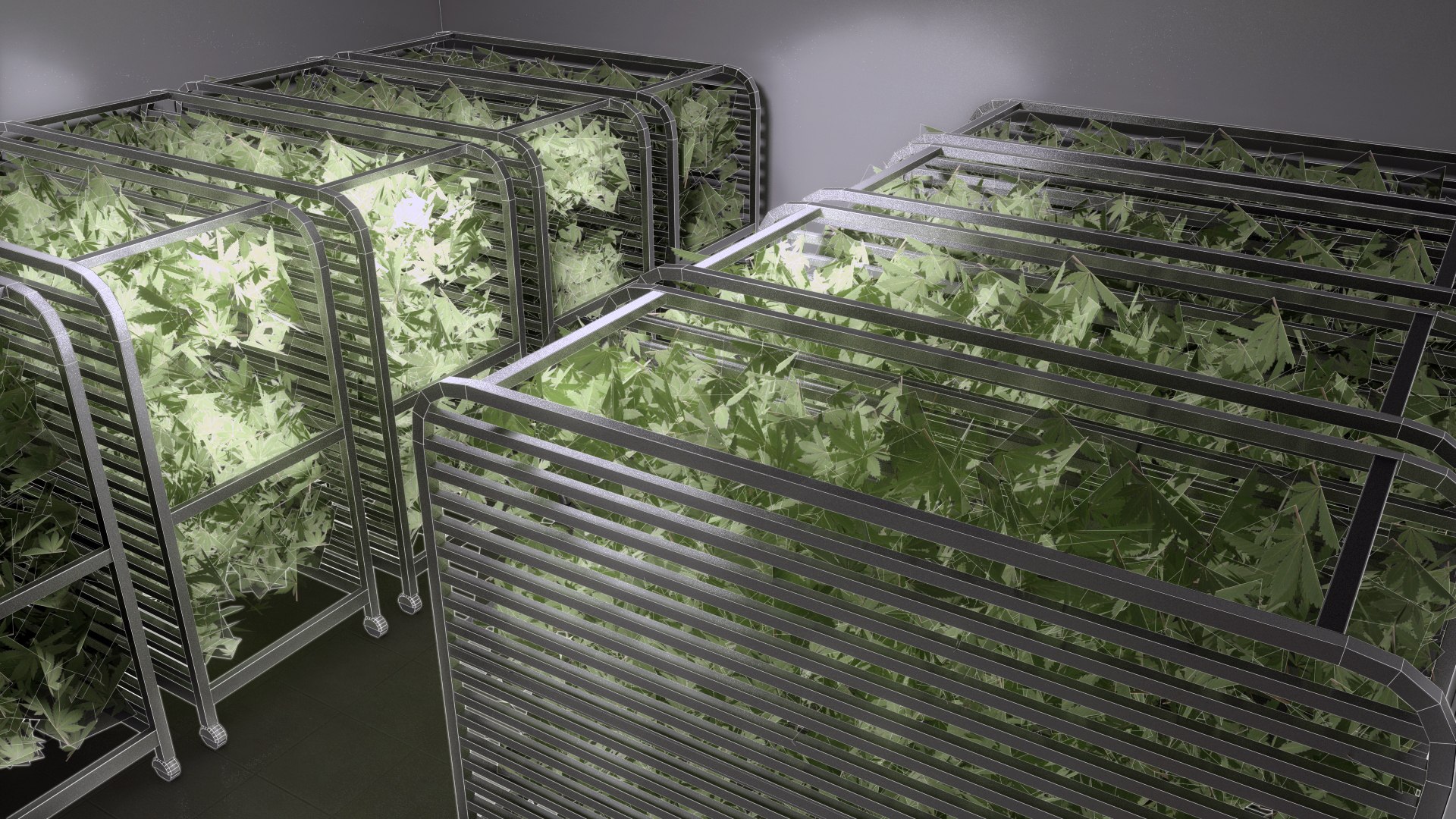 cannabis production facility 3D https://p.turbosquid.com/ts-thumb/tz/s9NXBr/o2uIiheE/dryroom2/jpg/1547423190/1920x1080/fit_q87/e9c680a222ab702e681775389d7ca39b75799f30/dryroom2.jpg