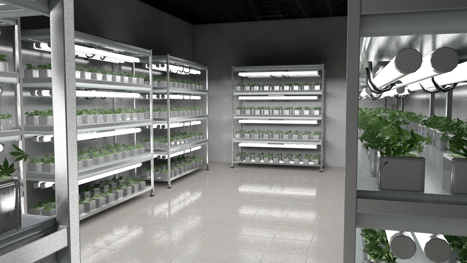 cannabis production facility 3D https://p.turbosquid.com/ts-thumb/tz/s9NXBr/wYfzMcCU/propagationroom1/jpg/1547423273/1920x1080/fit_q87/c80cdf051b3a68d465b438d47e18ebcfe55c8f7e/propagationroom1.jpg