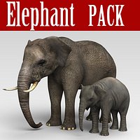 Elephant Pack