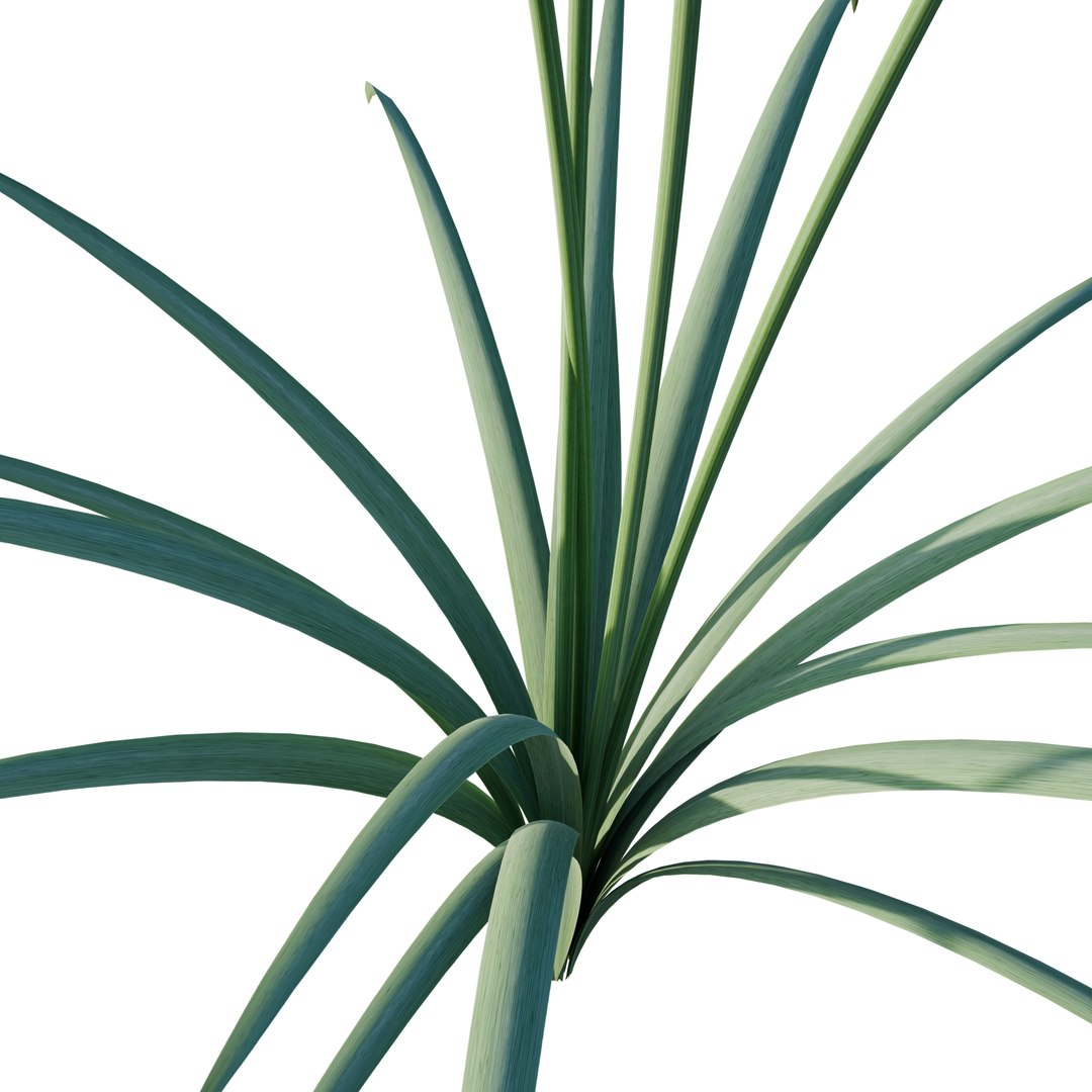 Allium Art 3D Model Download - Highly Detailed - Blender Sketchup Excel   More GlbGlt format 3D model https://p.turbosquid.com/ts-thumb/u0/3TxLEF/S5/alliumart4/png/1786367959/1920x1080/fit_q87/da752232e62475f386093958248b5639e35dbb08/alliumart4.jpg