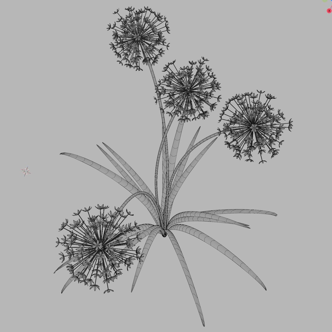 Allium Art 3D Model Download - Highly Detailed - Blender Sketchup Excel   More GlbGlt format 3D model https://p.turbosquid.com/ts-thumb/u0/3TxLEF/lR/alliumartwireframe/png/1786367955/1920x1080/fit_q87/e15fbf58b793df00c86f698ff883b9cc054f9b8a/alliumartwireframe.jpg
