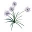 Modello 3D di Allium Art da scaricare - Altamente dettagliato - Formato Blender, Sketchup, Excel e altri formati GlbGlt
