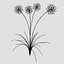 Modello 3D di Allium Art da scaricare - Altamente dettagliato - Formato Blender, Sketchup, Excel e altri formati GlbGlt