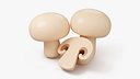 Stylized Mushrooms