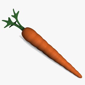 carrot 3d model