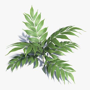 Lowpoly Plant 1 3D model
