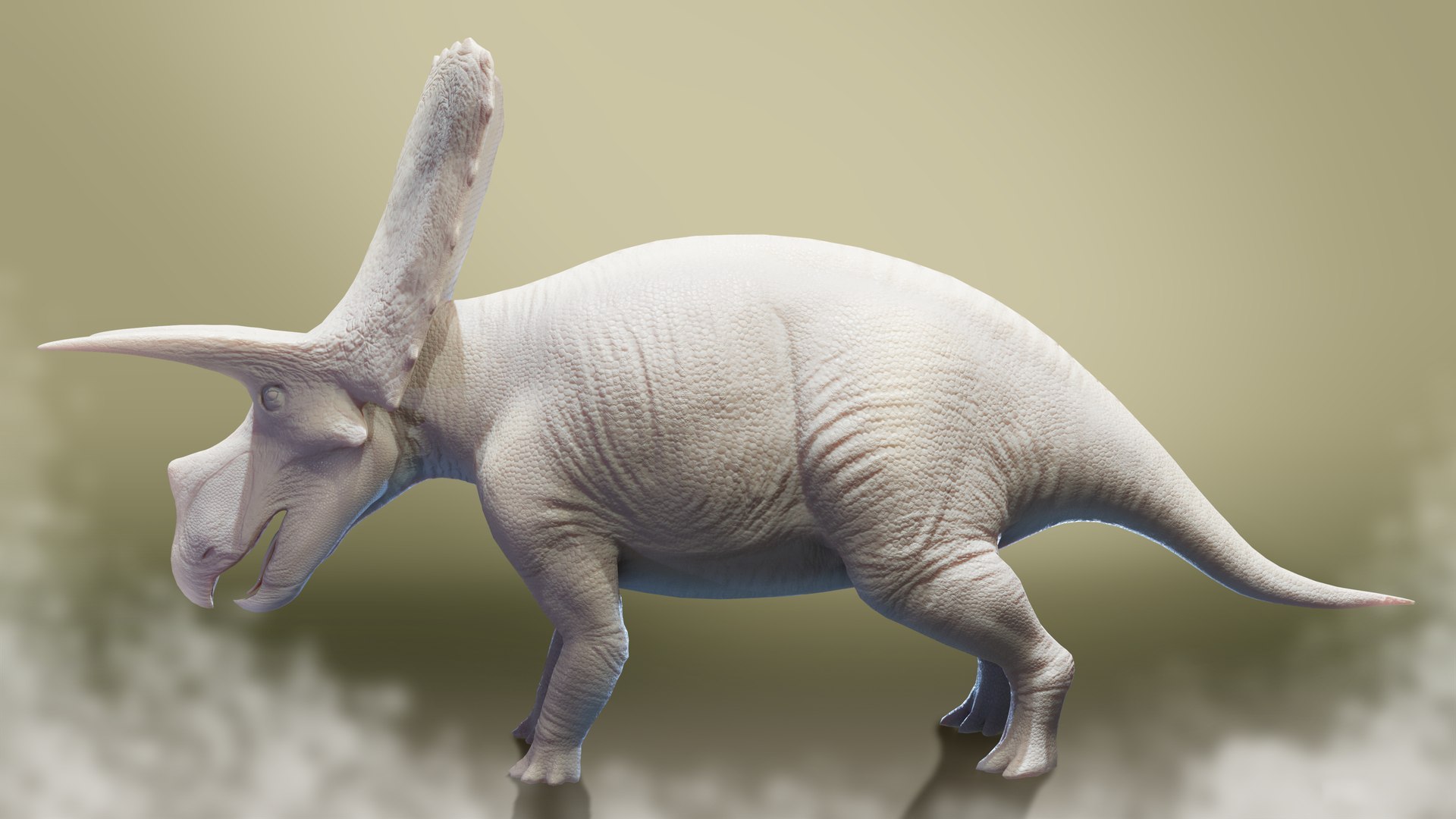 Torosaurus Animation-Ready Dinosaur 3D Model 3D model https://p.turbosquid.com/ts-thumb/u0/VvL6BJ/6w/perfilblanco/png/1778784050/1920x1080/fit_q87/39d8c6b79d652e9298cb75e70f3bc4eca07c345a/perfilblanco.jpg