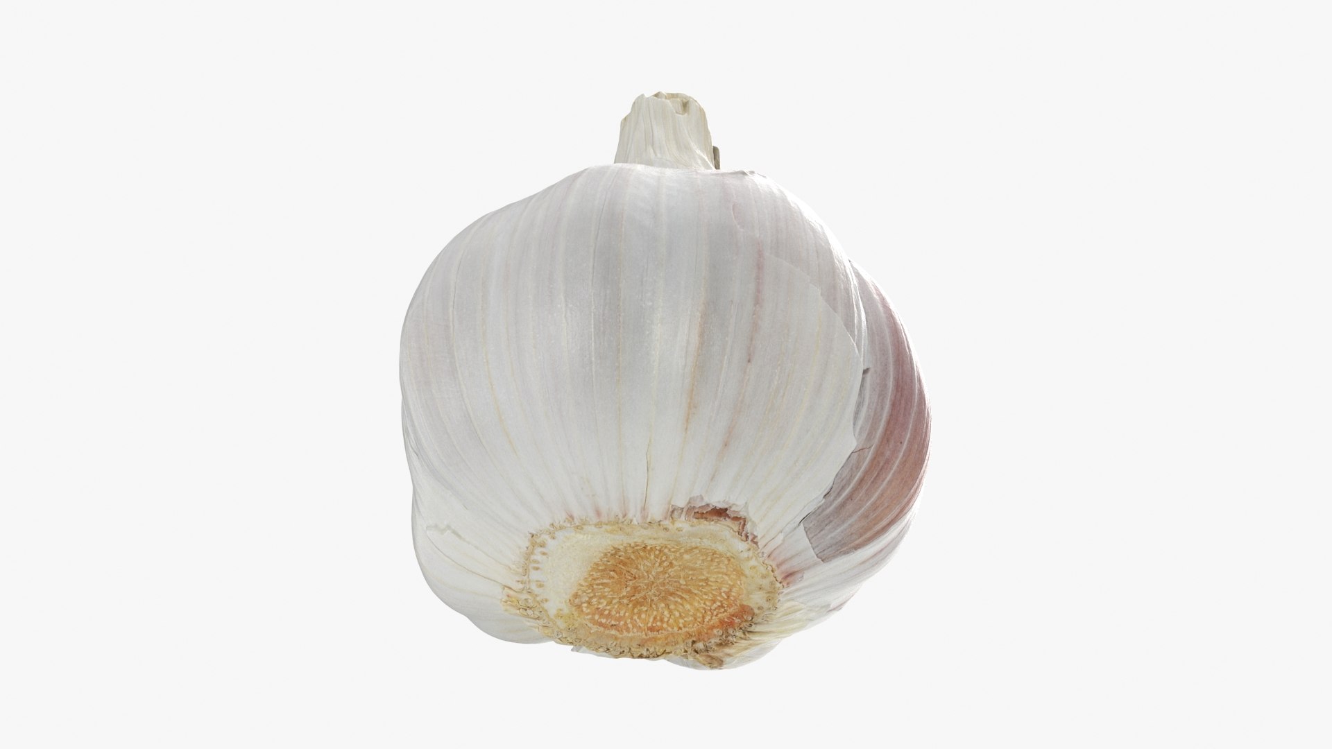 Garlic 01 3D model https://p.turbosquid.com/ts-thumb/u0/jXRSPN/1n/garlic01_b0020/jpg/1726315651/1920x1080/fit_q87/ef3f3f4064d172b1e2625b560f6e8a2fbbfb1b89/garlic01_b0020.jpg