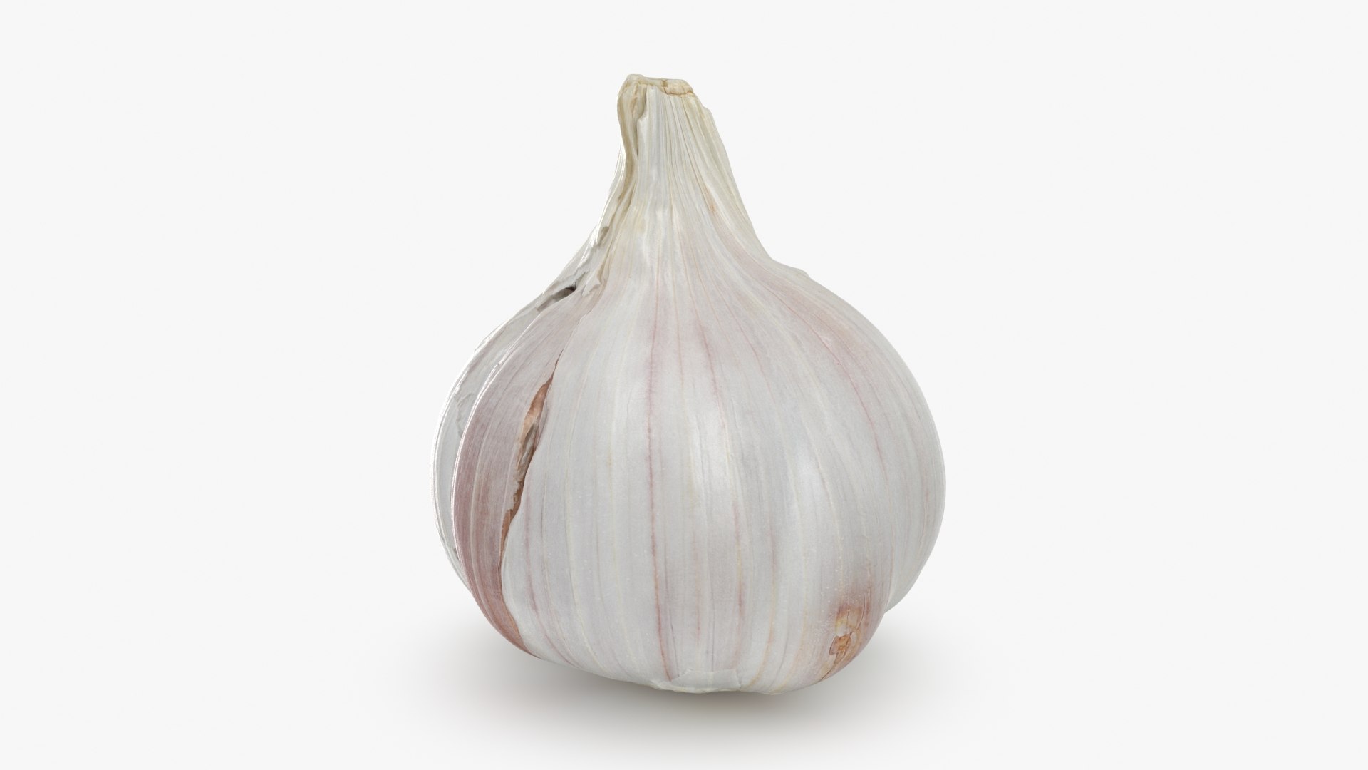 Garlic 01 3D model https://p.turbosquid.com/ts-thumb/u0/jXRSPN/8i/garlic01_b0000/jpg/1726315644/1920x1080/fit_q87/d5f3c8b122ea6f25e911e386392205b38a072f75/garlic01_b0000.jpg