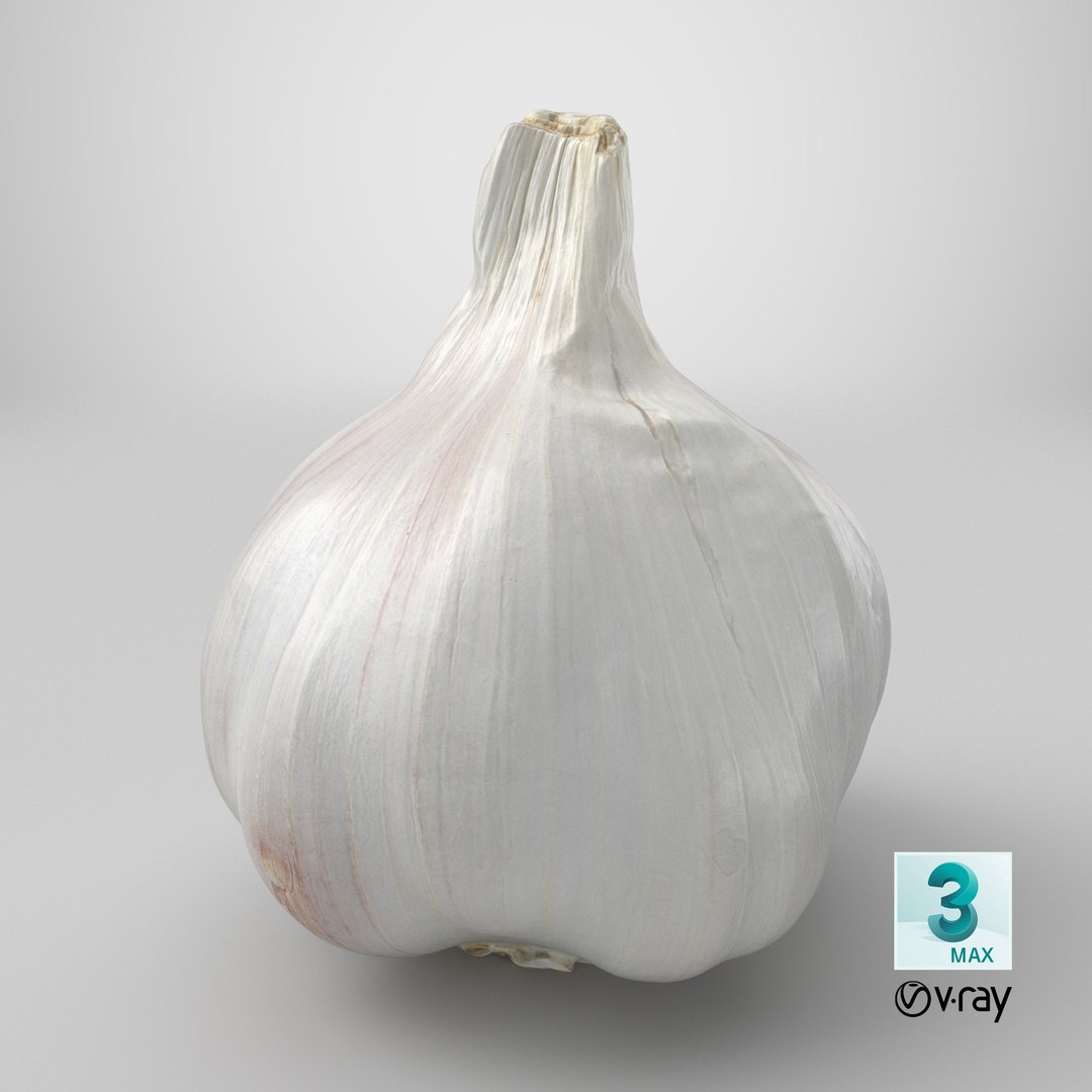 Garlic 01 3D model https://p.turbosquid.com/ts-thumb/u0/jXRSPN/Bx/stemcell_max_vray_render/png/1727443898/1920x1080/fit_q87/5632848fe9dfe9f4b689a25097d0e2eccfe5e1bb/stemcell_max_vray_render.jpg