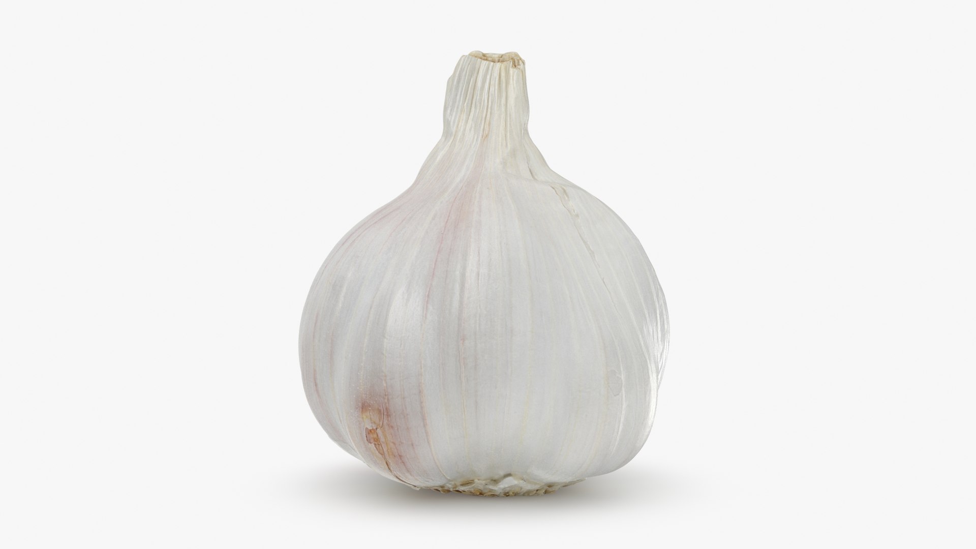 Garlic 01 3D model https://p.turbosquid.com/ts-thumb/u0/jXRSPN/HJ/garlic01_b0004/jpg/1726315646/1920x1080/fit_q87/f65561167b0bbeec758fddb07dbcab43cb620e19/garlic01_b0004.jpg
