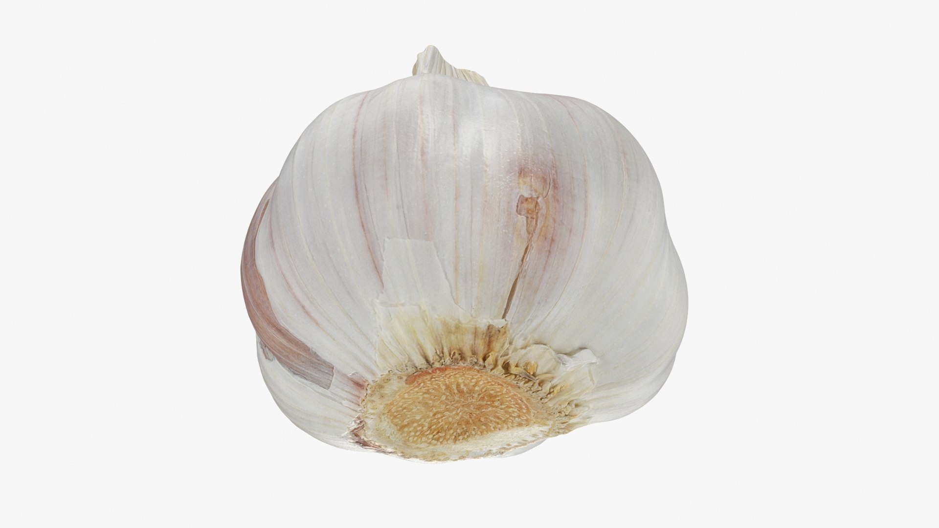Garlic 01 3D model https://p.turbosquid.com/ts-thumb/u0/jXRSPN/at/garlic01_b0022/jpg/1726315652/1920x1080/fit_q87/ff52154dc3b4ef0650e5ce0885889e0e966e557d/garlic01_b0022.jpg