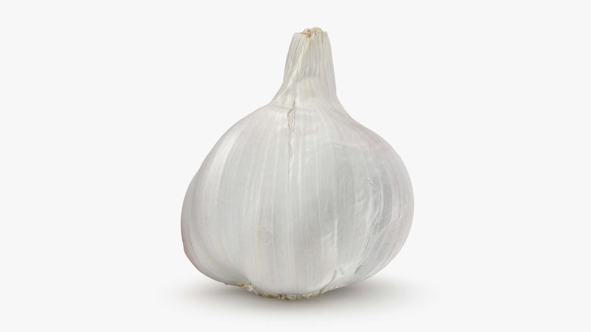 Garlic 01 3D model https://p.turbosquid.com/ts-thumb/u0/jXRSPN/jw/garlic01_b0008/jpg/1726315647/1920x1080/fit_q87/247b8be4d8ad113461071d9212d8ecae2eaae6c0/garlic01_b0008.jpg