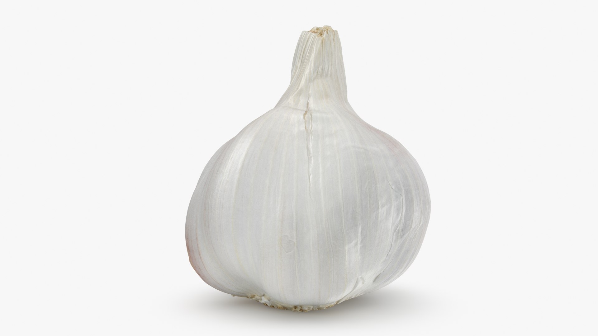 Garlic 01 3D model https://p.turbosquid.com/ts-thumb/u0/jXRSPN/nY/garlic01_b0014/jpg/1726315649/1920x1080/fit_q87/64b9a23d338cb344ea3837bd085397d98ab7a1d0/garlic01_b0014.jpg