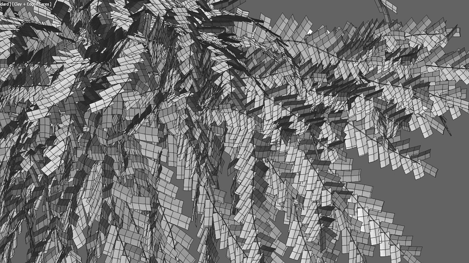 3D Phyllanthus cochinchinensis muell 02 https://p.turbosquid.com/ts-thumb/u0/sjibcw/pe/3dtree_phyllanthuscochinchinensismuell_v8/jpg/1630140161/1920x1080/fit_q87/01c76560ef4e2db3bf7c7b53547853131ddc5f4f/3dtree_phyllanthuscochinchinensismuell_v8.jpg