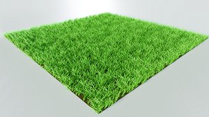 grass lawn 3D