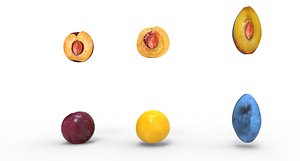 plum fruit food 3D model