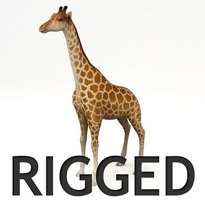 rigged giraffe obj