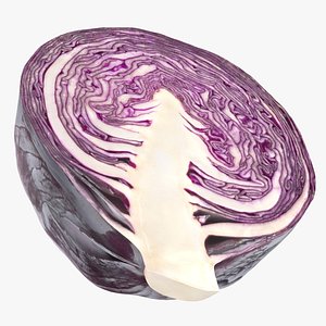 realistic half red cabbage 3D model