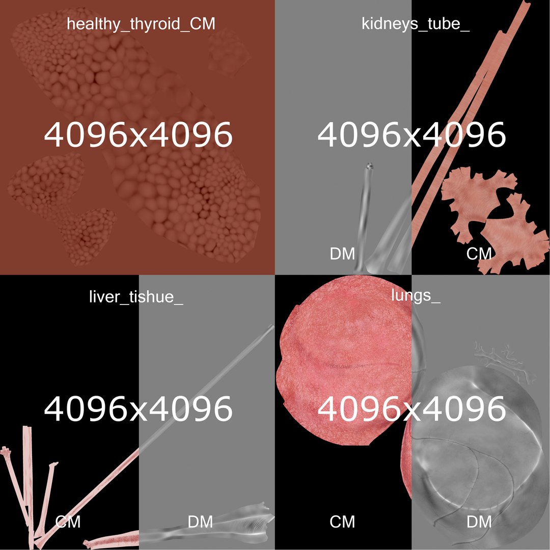 male female anatomy set 3D model https://p.turbosquid.com/ts-thumb/u1/LwdEWM/ST7sjM9k/organs_03/png/1595316003/1920x1080/fit_q87/25841d2ce0f6e676f8286ee671121f9500df36ed/organs_03.jpg