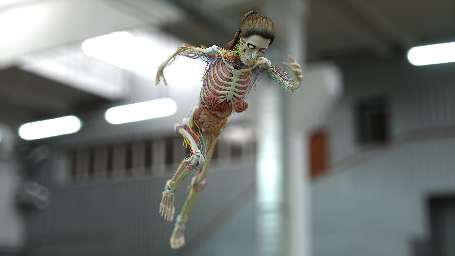 male female anatomy set 3D model https://p.turbosquid.com/ts-thumb/u1/LwdEWM/W21vow3n/fem_07_d/jpg/1595252069/1920x1080/fit_q87/2e99ac363de8a1d184705c818cbb0fb35556157e/fem_07_d.jpg