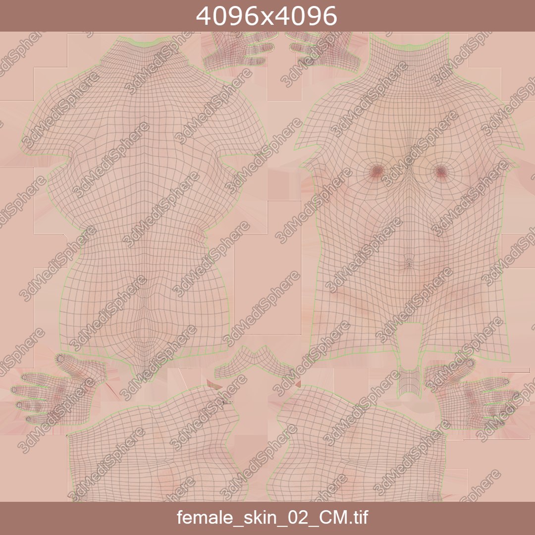 male female anatomy set 3D model https://p.turbosquid.com/ts-thumb/u1/LwdEWM/pvKX9bDM/new_female_skin_02_unwrap/png/1595316003/1920x1080/fit_q87/17a1660cfabefdb4dee79a1973d143f08ac5d34d/new_female_skin_02_unwrap.jpg