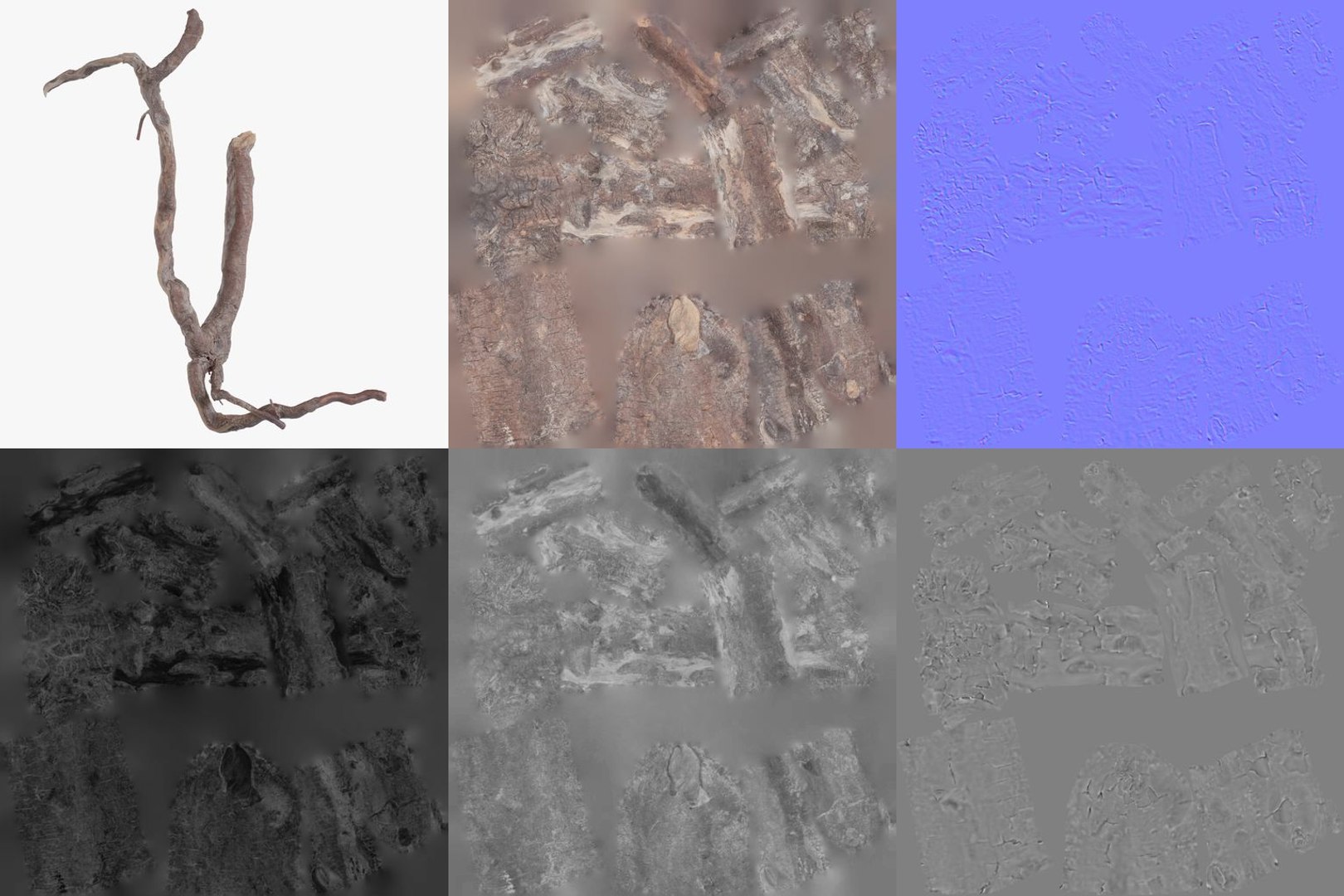 12 3D Scanned Branch Collection 3D - TurboSquid 2511188
