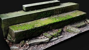 3D mossy steps abandoned castle ruins photogrammetry
