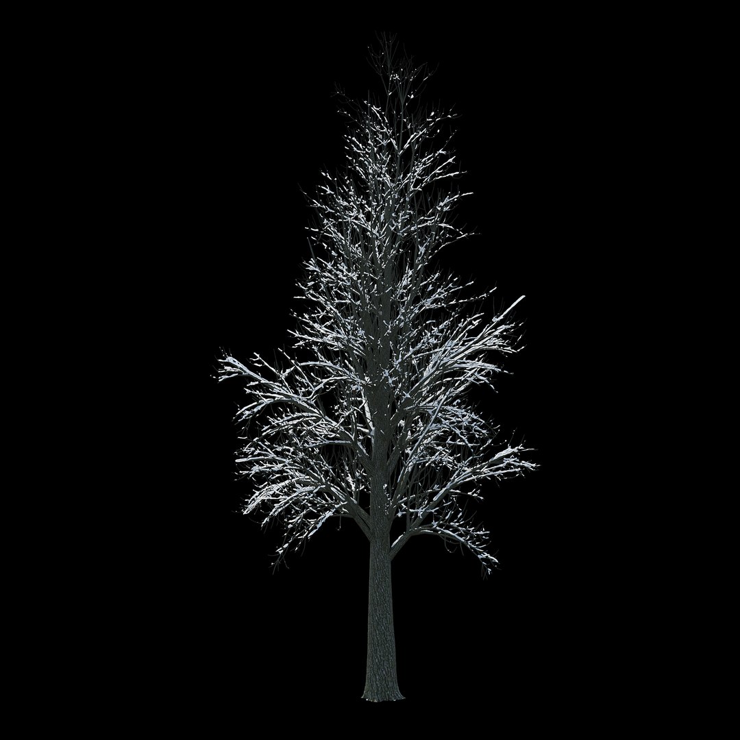 3D Winter Tree 033 Snow - TurboSquid 1237261