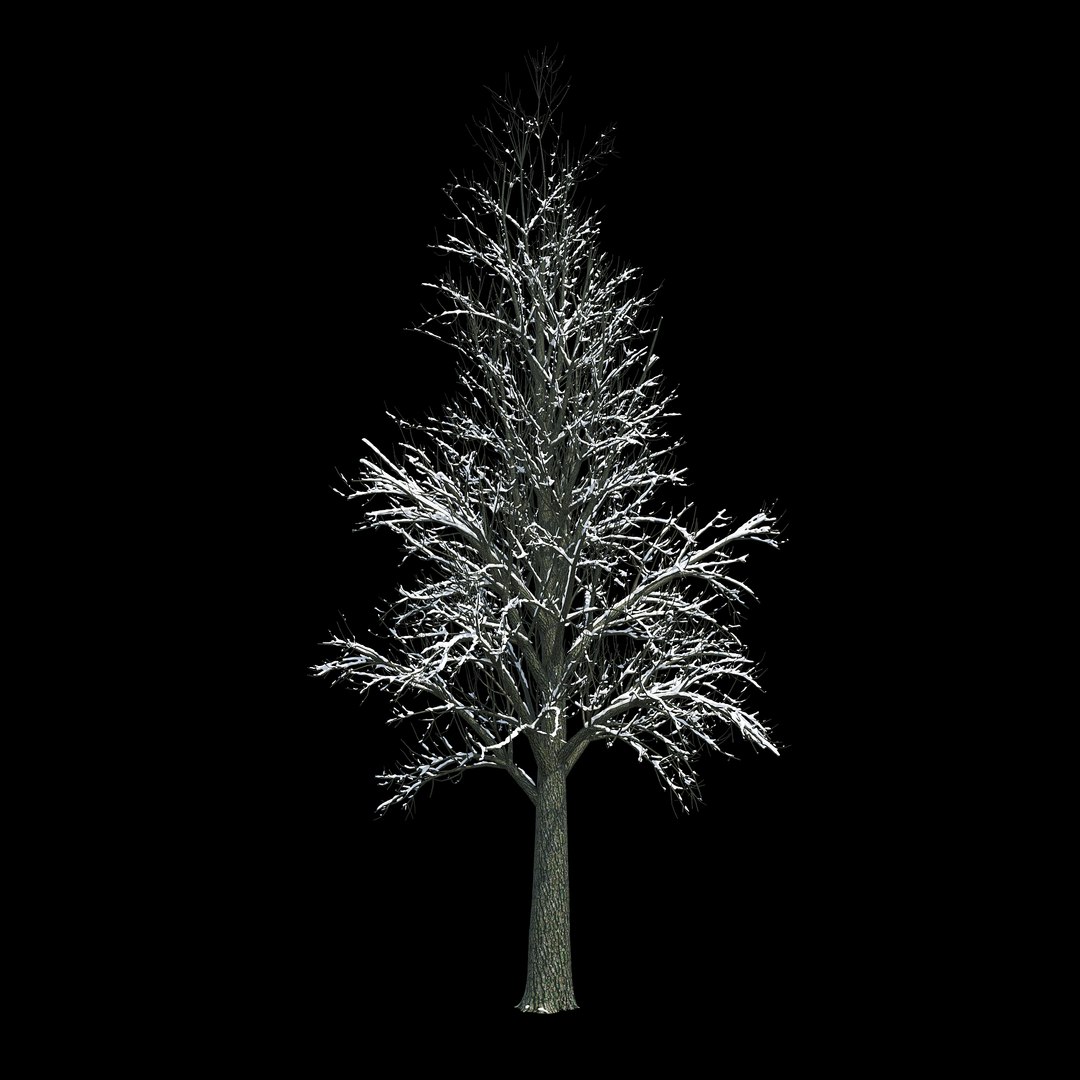 3D Winter Tree 033 Snow - TurboSquid 1237261