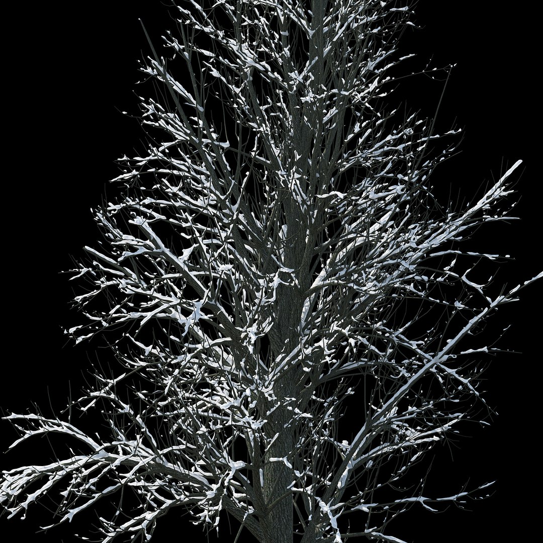 3D Winter Tree 033 Snow - TurboSquid 1237261