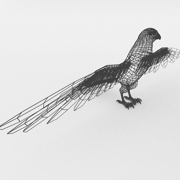 modelo 3d Halcón - TurboSquid 1316786